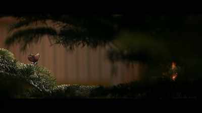 One day when the wind was silent, - First Snow of Summer