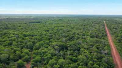 ONE DWARFS THE VILLAGE
THEY LIVE IN TODAY. - Lost Cities of the Amazon