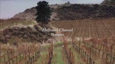 ["One Fine Day"
performed by JJ Pie playing] - Valentine in the Vineyard
