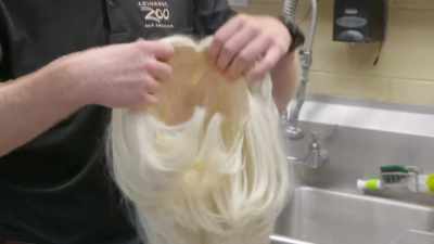 One kinda looks
like priya's hair, - Secrets of the Zoo