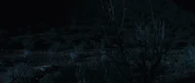 One man. - True Grit