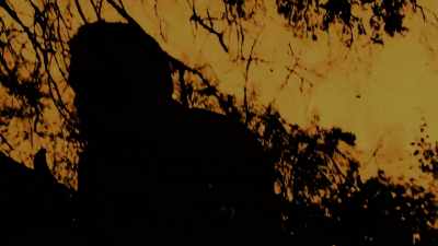One man ZOROK survived this hell on earth. - Doomsday Stories
