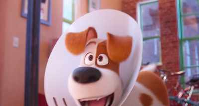 One minute, you're getting
fitted for a cone, - The Secret Life of Pets 2