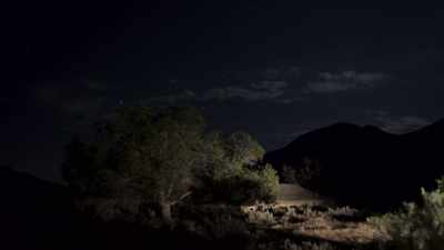 One night, I was
uh, I went to bed - Horror in the High Desert 2: Minerva