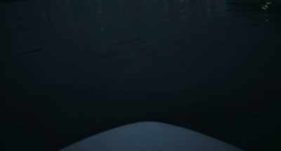 One night, same time, same tide
conditions, I and my chemist - Murder of God's Banker