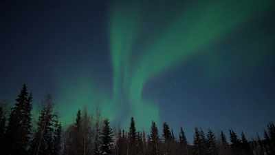 One of Earth's most
magnificent displays. - A Royal Christmas Crush
