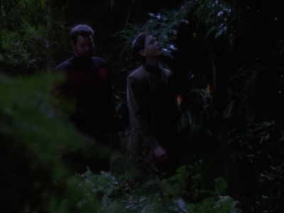 One of my favourites
is this menellen tree. - Star Trek: The Next Generation