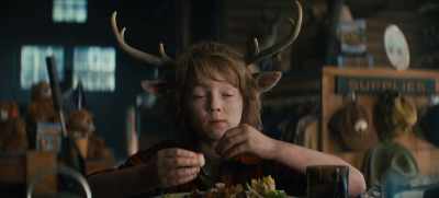 One of the last human babies before, - Sweet Tooth