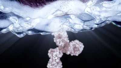One of the most common
is called immunoglobulin E. - Human: The World Within