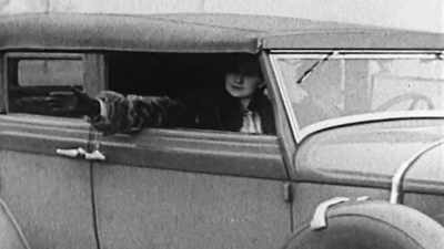 - One of the odd
things they found was, - The Cars That Made America
