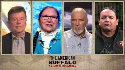 One of the things that I
learned from looking at the - The American Buffalo