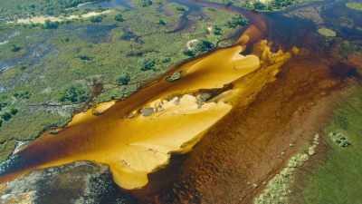 One of the things with the delta - In the Footsteps of Elephant