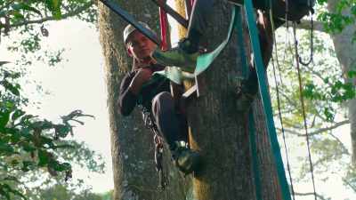 One of the trickier elements
of setting a tree platform - The Secret Lives of Animals
