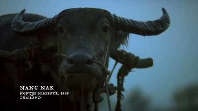 One of the very big hits - Woodlands Dark and Days Bewitched: A History of Folk Horror