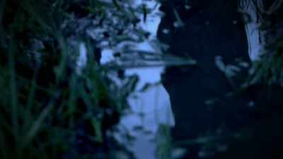 ONE OF THEM SEES AN ALIEN CRAFT. - Strange Evidence