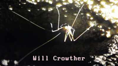 One of them was Will Crowther,
a programmer and caver, - Traceroute