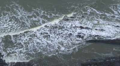 One rare eyewitness account
strongly suggests - Mysteries of the Deep