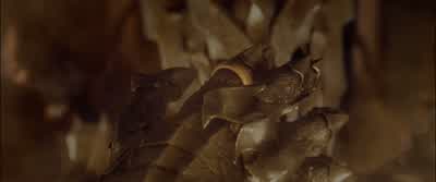 One Ring to rule them all - The Lord of the Rings: The Fellowship of the Ring