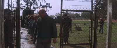 One. - Cool Hand Luke
