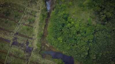 One section, Chat Moss, lies
directly on the route between the - Secrets of the Railways