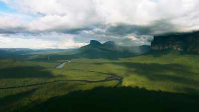 One species that has adopted
a grow-fast lifestyle - The Green Planet