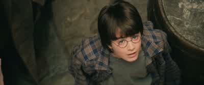 ...one standard size 2 pewter cauldron... - Harry Potter and the Philosopher's Stone
