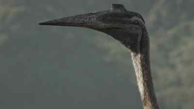 One strike from its six-foot-long beak - Prehistoric Planet