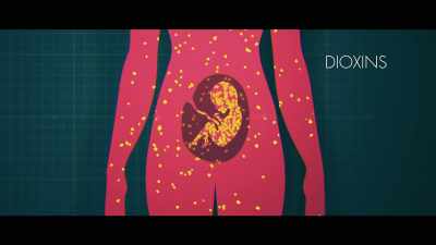 One is that dioxin 
crosses the placenta - What the Health