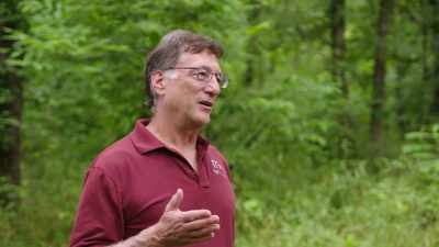 One that's hopeful,
though, is that - Beyond Oak Island