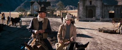 One thing I hate more than a Comanche is half of one - Cahill U S  Marshal