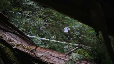 One thing that
we noticed right away - Expedition Bigfoot