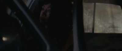 One thing has to die for
the others to survive. - Pig Killer