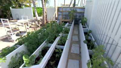 One thing he wanted to do was
have his own microgreens, - Island of Bryan