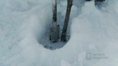 One time when I was a kid, I
was watching my brother trip - Life Below Zero: First Alaskans
