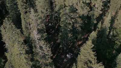 One time I heard a sound like
a huge tuning fork - Missing 411: The Hunted