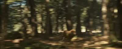 One, two... - The Chronicles of Narnia: Prince Caspian