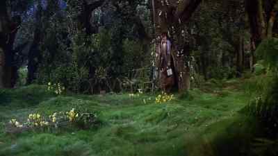 One, two... - Finian's Rainbow