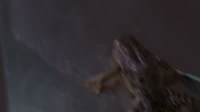 One, two, three, four, five, six, seven, eight! Oh, it's... - Buffy the Vampire Slayer