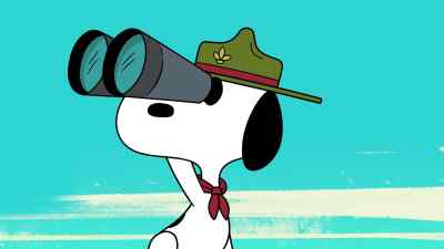 "One way to get your bearings
is to climb to a higher vantage point." - Camp Snoopy