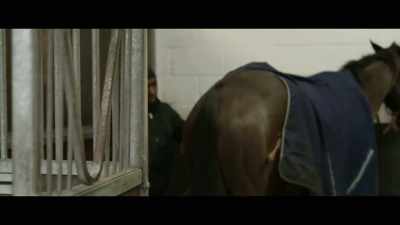 One to which he's
become particularly attached - Horsepower