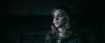 One who's had experience defending themselves against the Dark Arts. - Harry Potter and the Order of the Phoenix