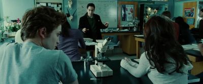 Onion root tip cells - Twilight