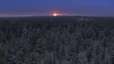 Only a few choose
to take their chances here - Frozen Planet II