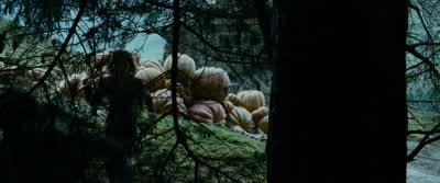 ...only a really powerful wizard could have conjured it. - Harry Potter and the Prisoner of Azkaban