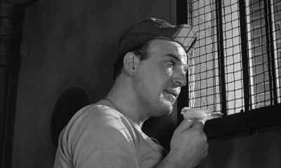 Only for about a year or so
and then I want him back. - Birdman of Alcatraz
