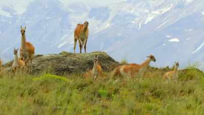 Only to find - Our Great National Parks