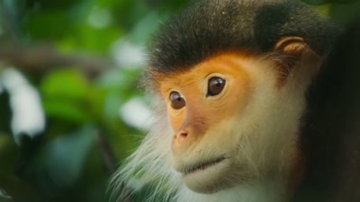 'Only four years old, - A Year on Planet Earth