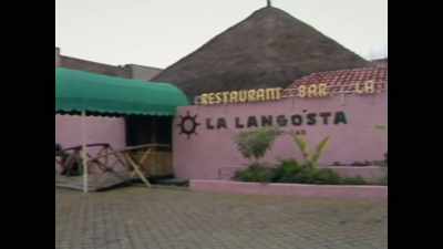 Only high-quality seafood,
fresh, special, - The Last Narc