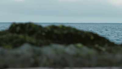 Only to return in
a month's time... - Frozen Planet II