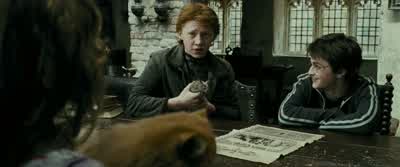 - Only that he's escaped from Azkaban. - Harry Potter and the Prisoner of Azkaban